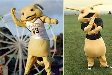 The Psychology of Mascots: Why Scrotie Captivates the Crowd